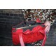 Victoria Medium Clipframe bag in Red Leather