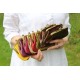 Miranda Coin purse with card slots