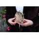 Miranda Coin purse with card slots